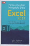 Panduan Lengkap Mengelola Data Excel 2013